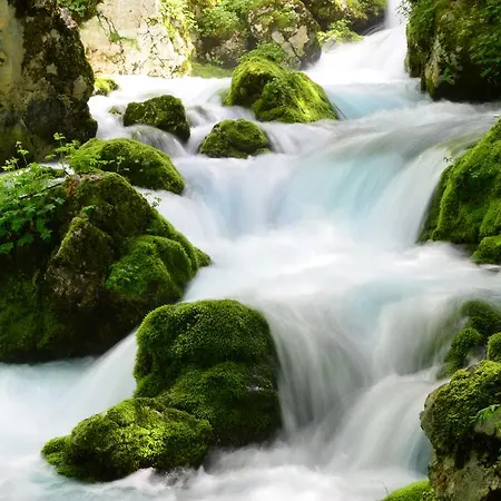 Bezgova Hisica