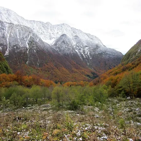 Дом отдыха Bezgova Hisica
