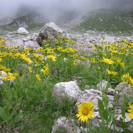 Bezgova Hisica Bovec