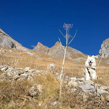 Bezgova Hisica