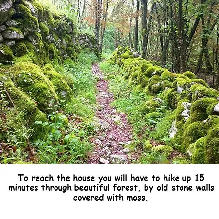 Bezgova Hisica *