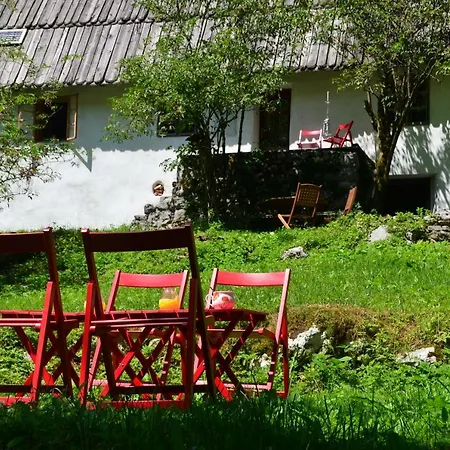 Bezgova Hisica Casa de Férias *