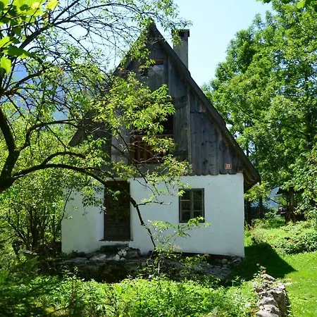 Bezgova Hisica Holiday home *