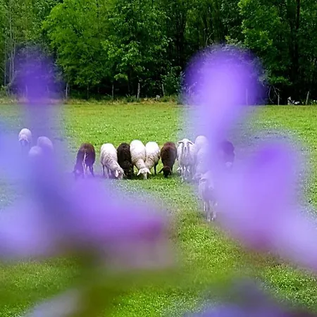 Bezgova Hisica * Bovec