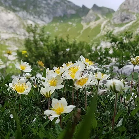 Bezgova Hisica * Bovec