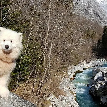 Bezgova Hisica * Bovec