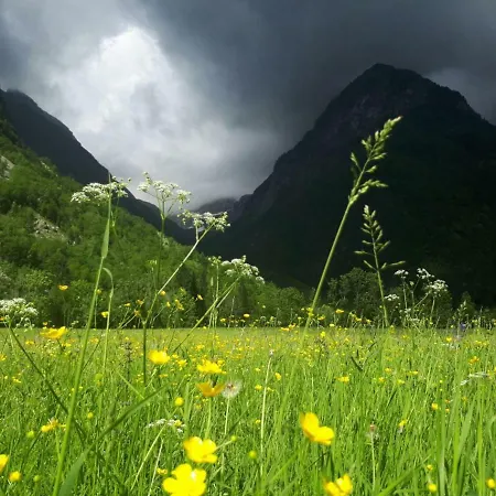 Bezgova Hisica *