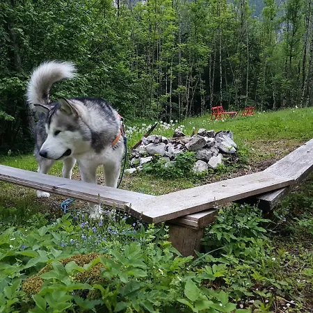 Bezgova Hisica Дом отдыха Бовец