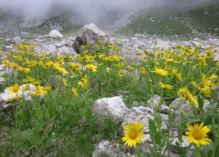 Bezgova Hisica Bovec