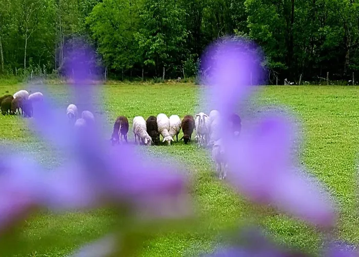 Bezgova Hisica * Bovec