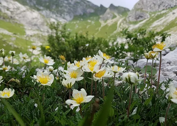 Bezgova Hisica * Bovec