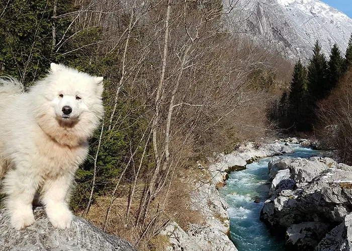Bezgova Hisica * Bovec
