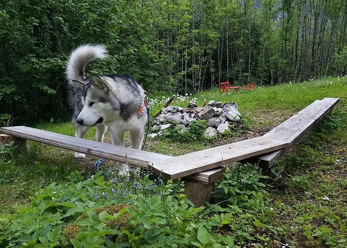 Bezgova Hisica Hébergement de vacances Bovec